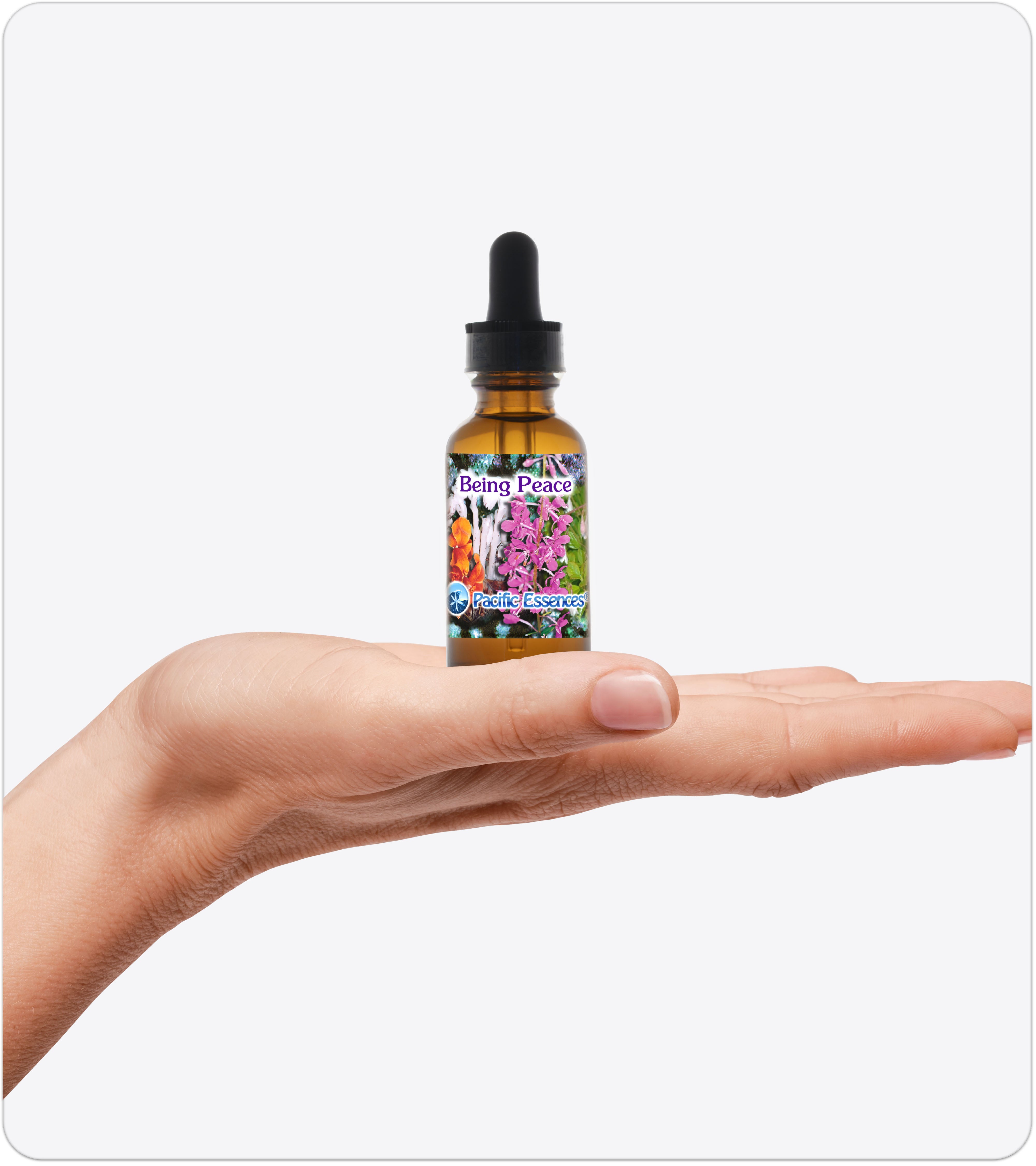 Being Peace | Combination Essence | Pacific Essences | Peace