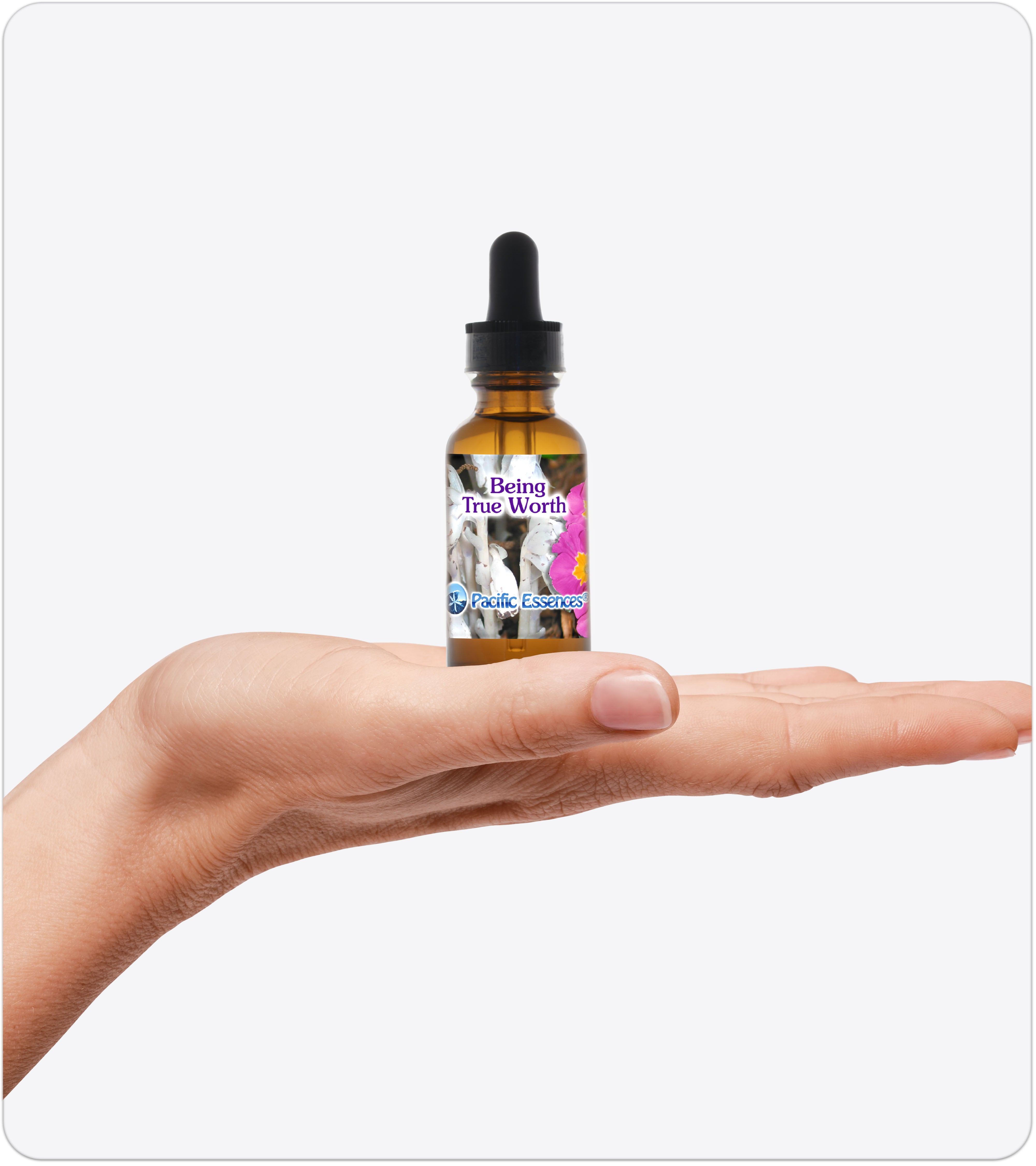 Being True Worth | Combination Essence | Pacific Essences | Self-referral