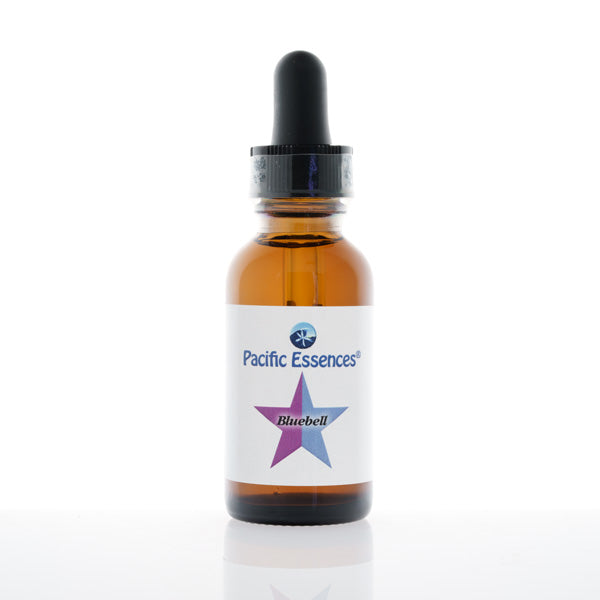 Bluebell Flower Essence