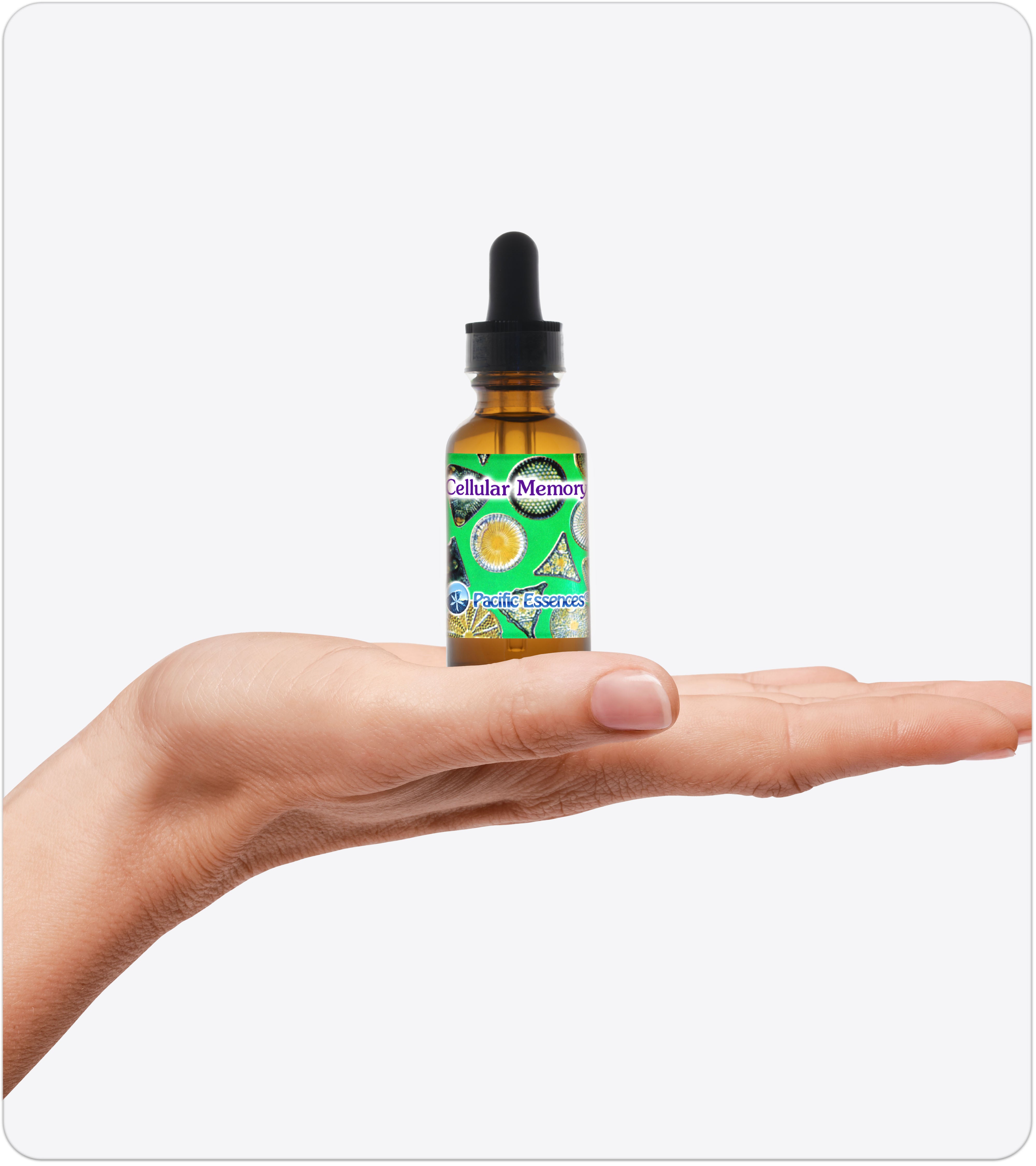 Cellular Memory | Combination Essence | Pacific Essences | Creative Cellular Intelligence