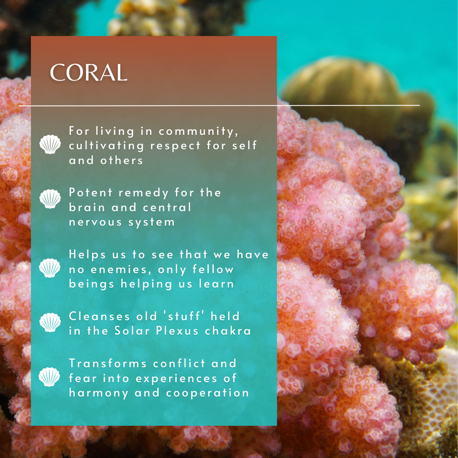 Coral Sea Essence