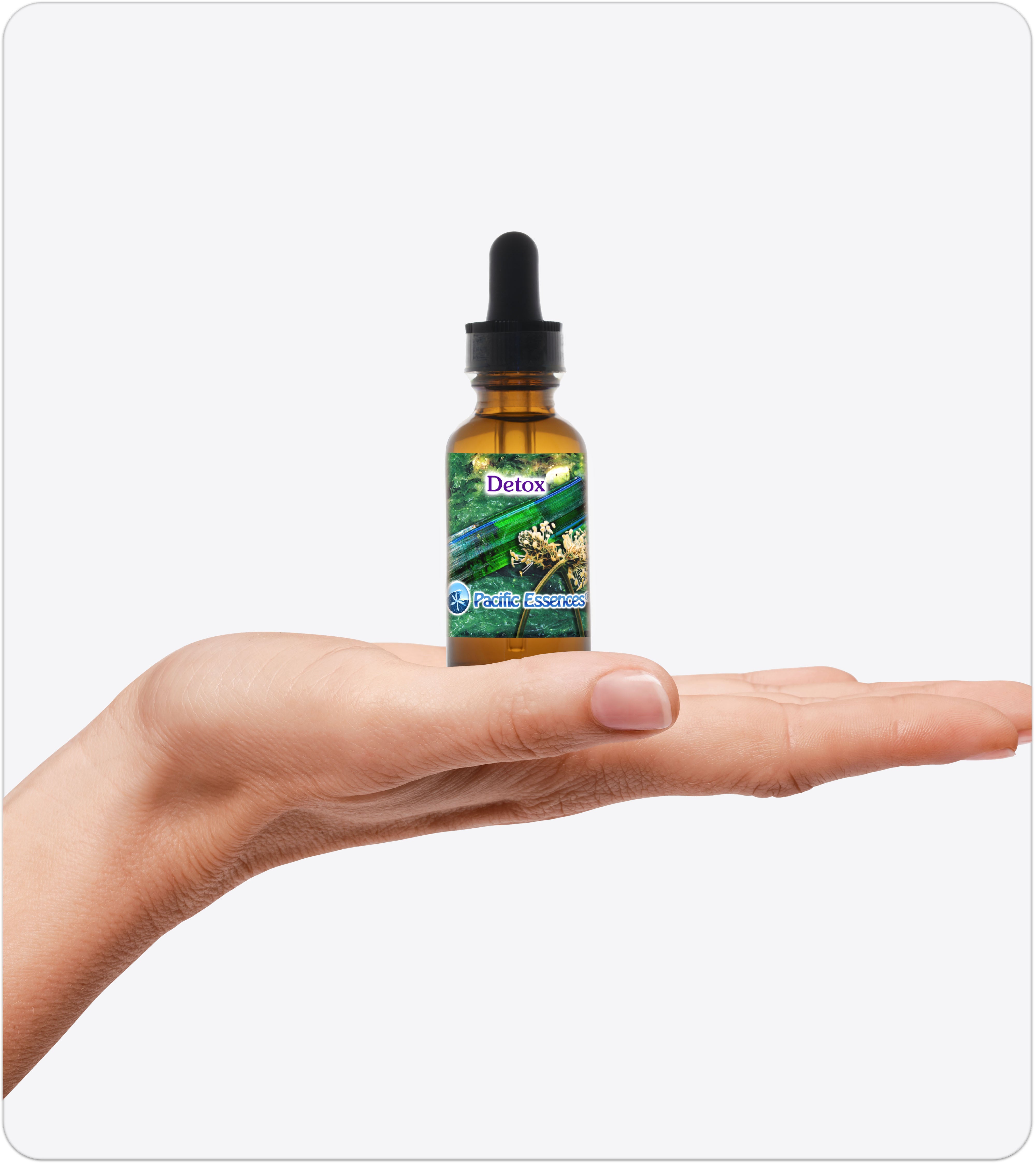 Detox | Combination Essence | Pacific Essences | Purity