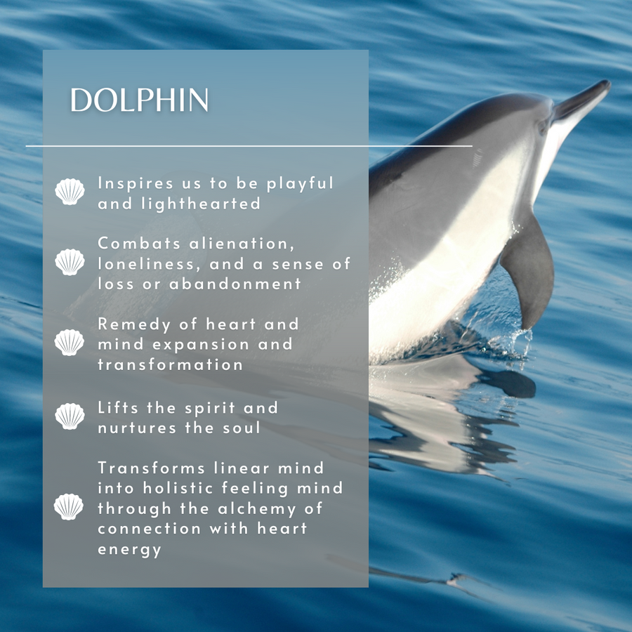 Dolphin Sea Essence