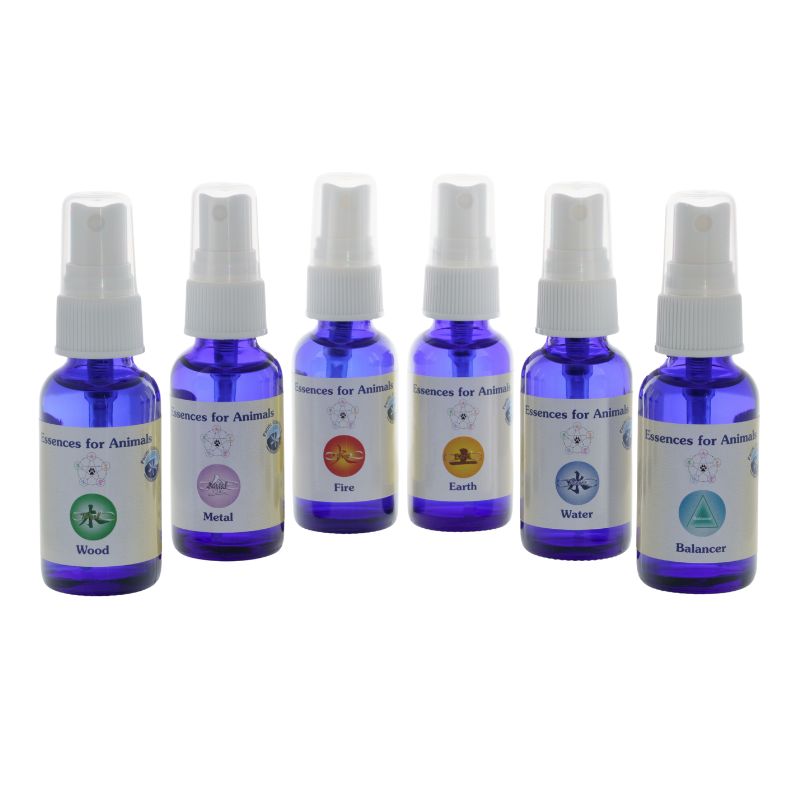 Emergency Kit for Animals