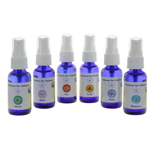 Emergency Kit for Animals