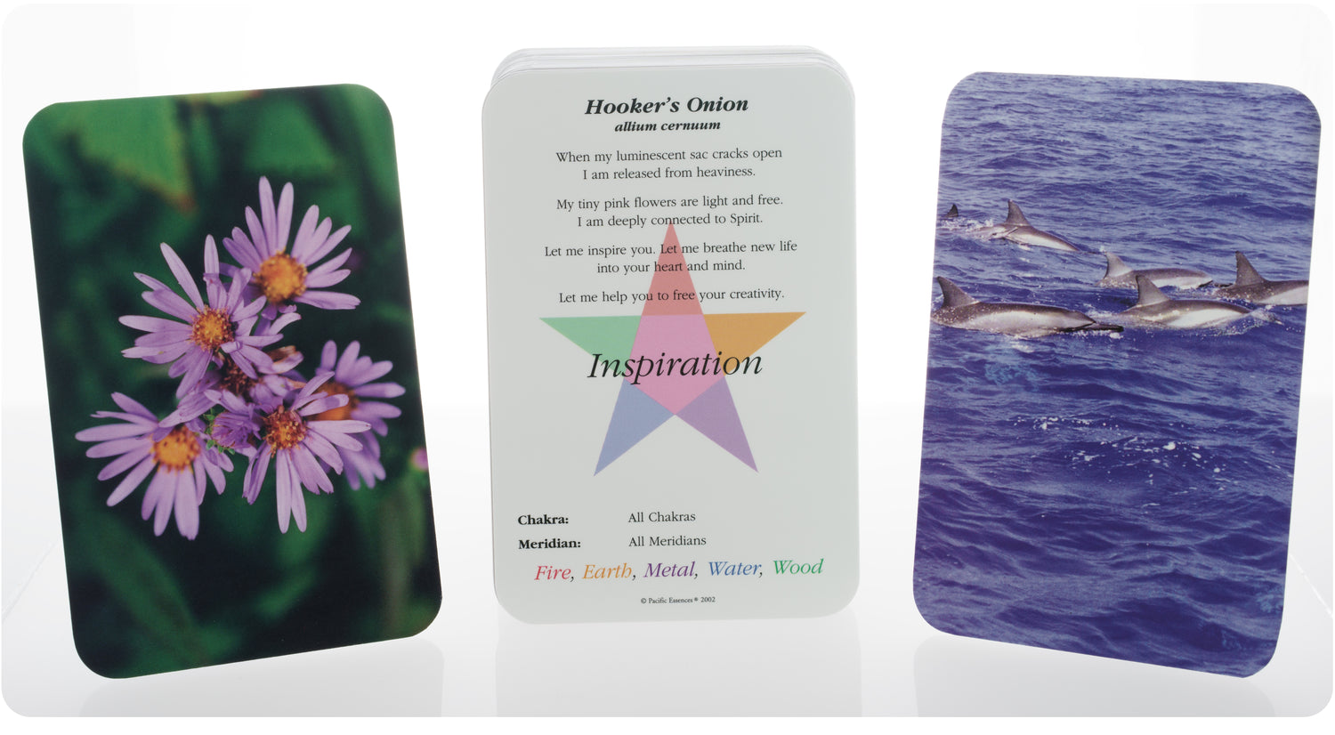 Energy Medicine Cards | Pacific Essences | 