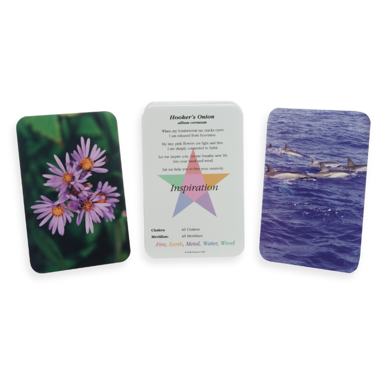 Energy Medicine Cards