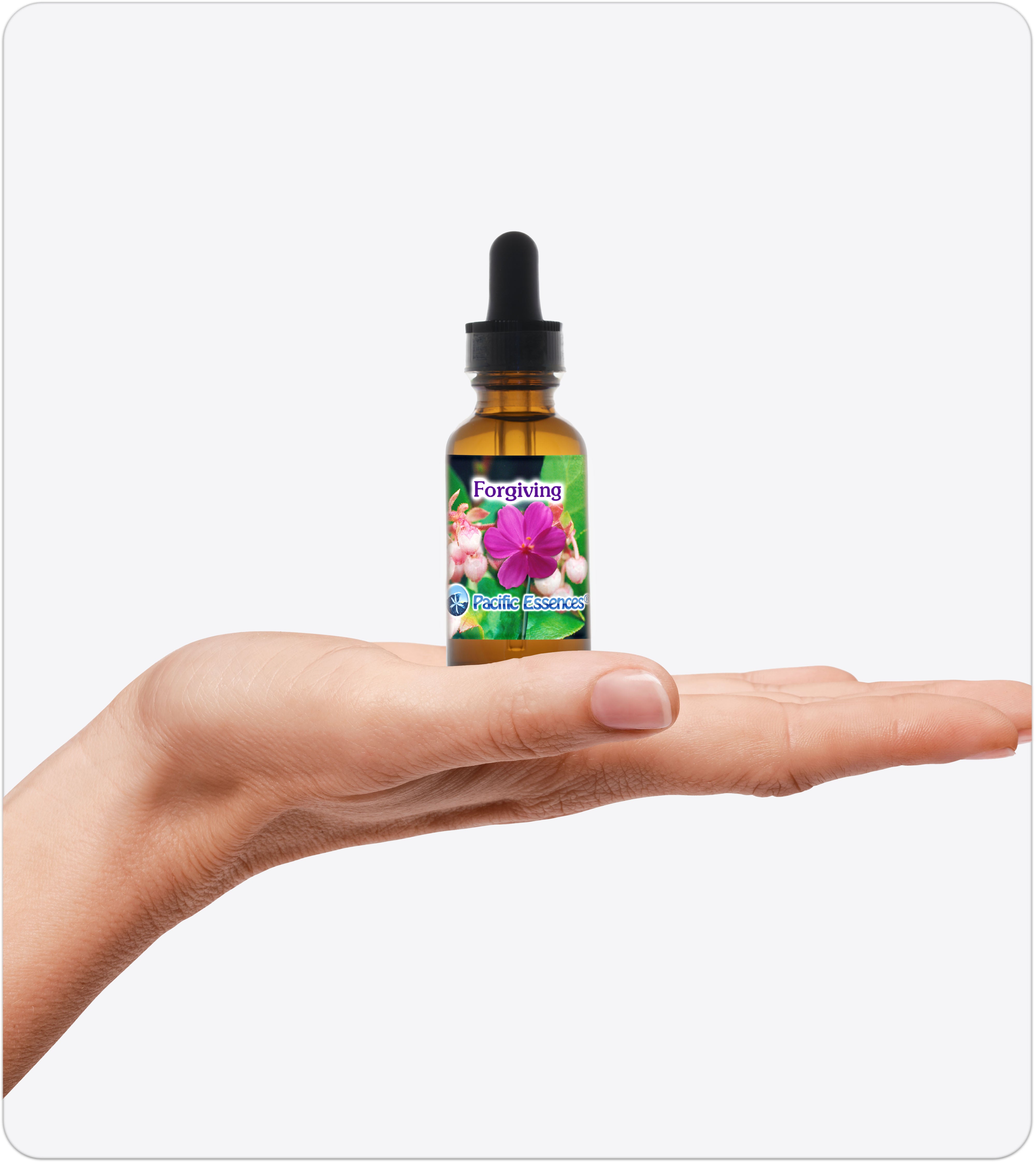 Forgiving | Combination Essence | Pacific Essences | Inner Peace