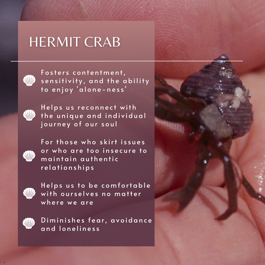 Hermit Crab Sea Essence