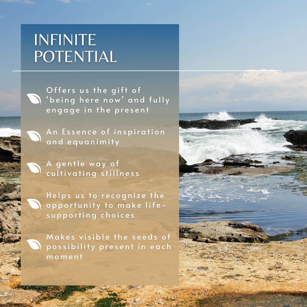 Infinite Potential - Bonus Bottle | Pacific Essences | Achieve Stillness