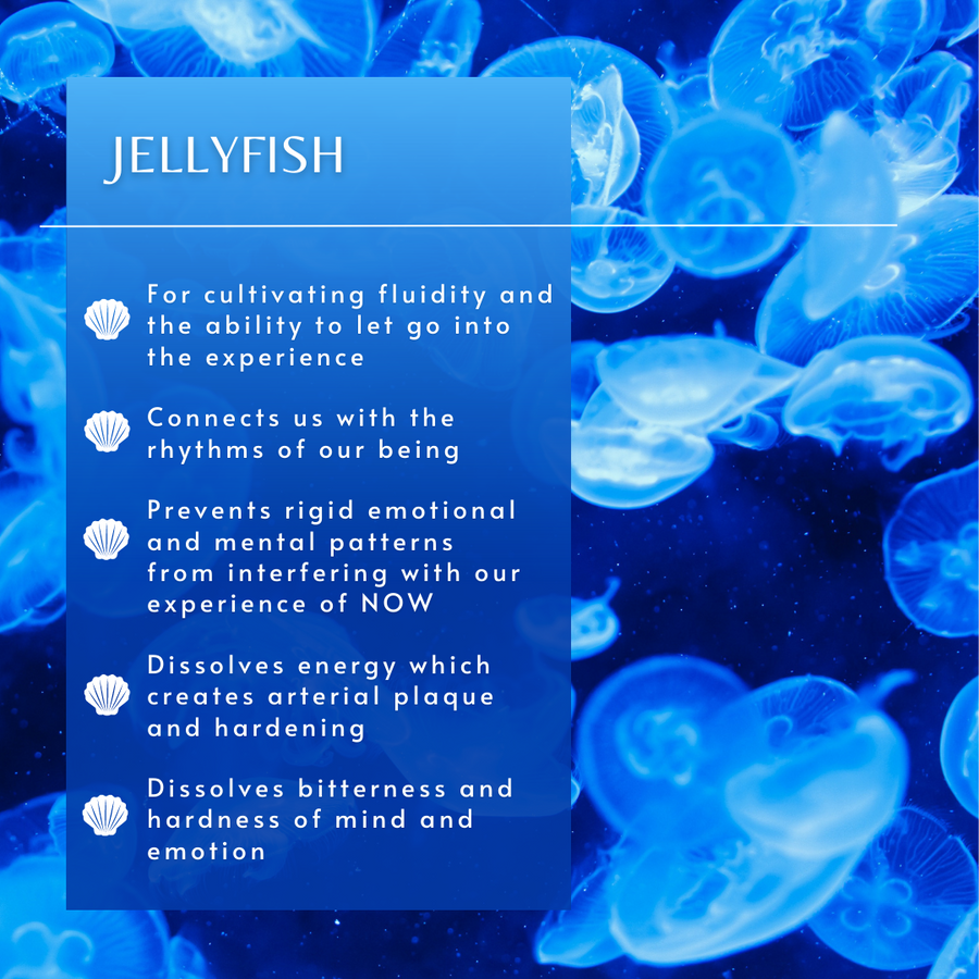 Jellyfish Sea Essence