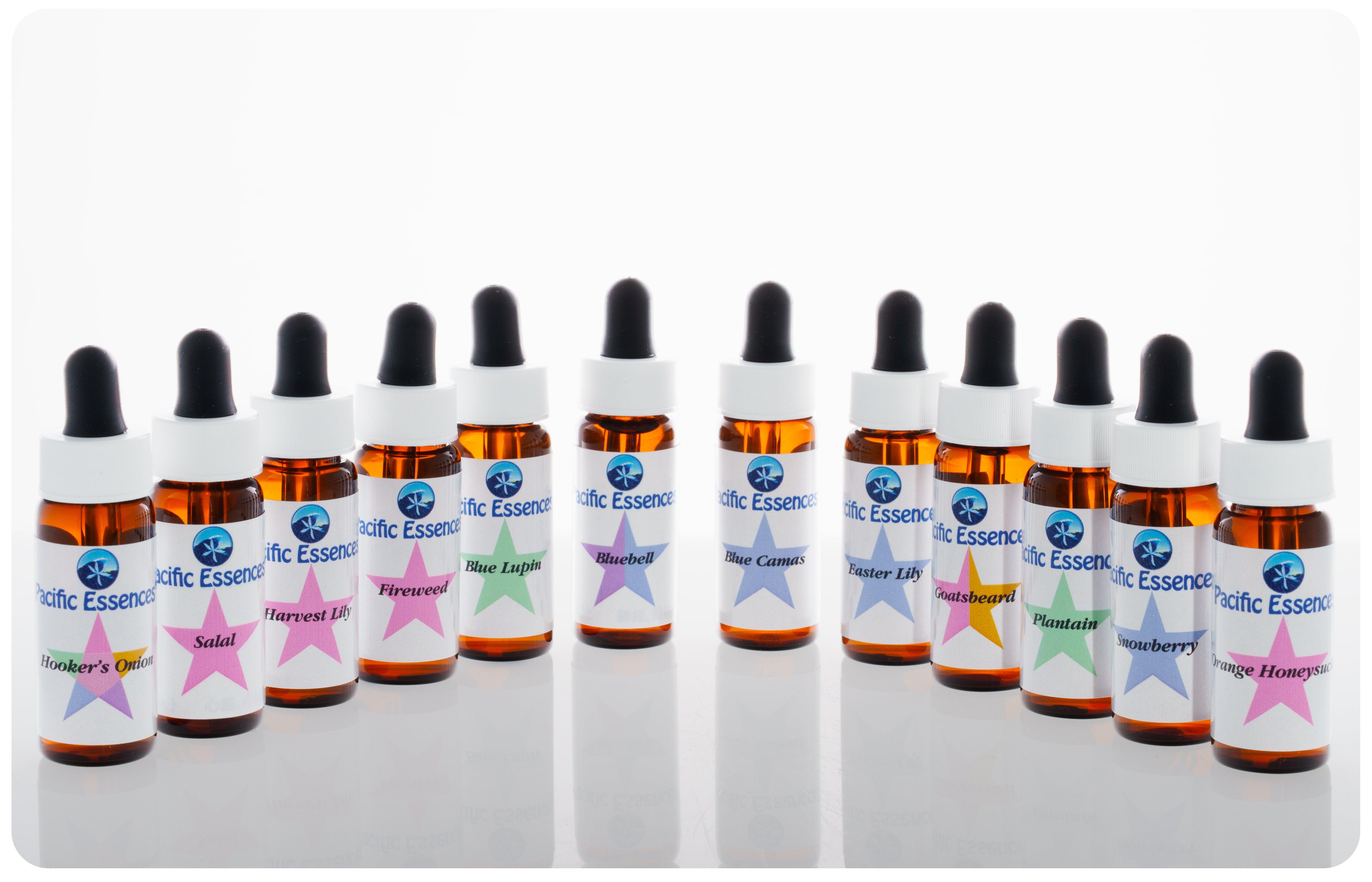 Kit 1 - Native Wild Flowers | Pacific Essences | Create your Own Essence Formula