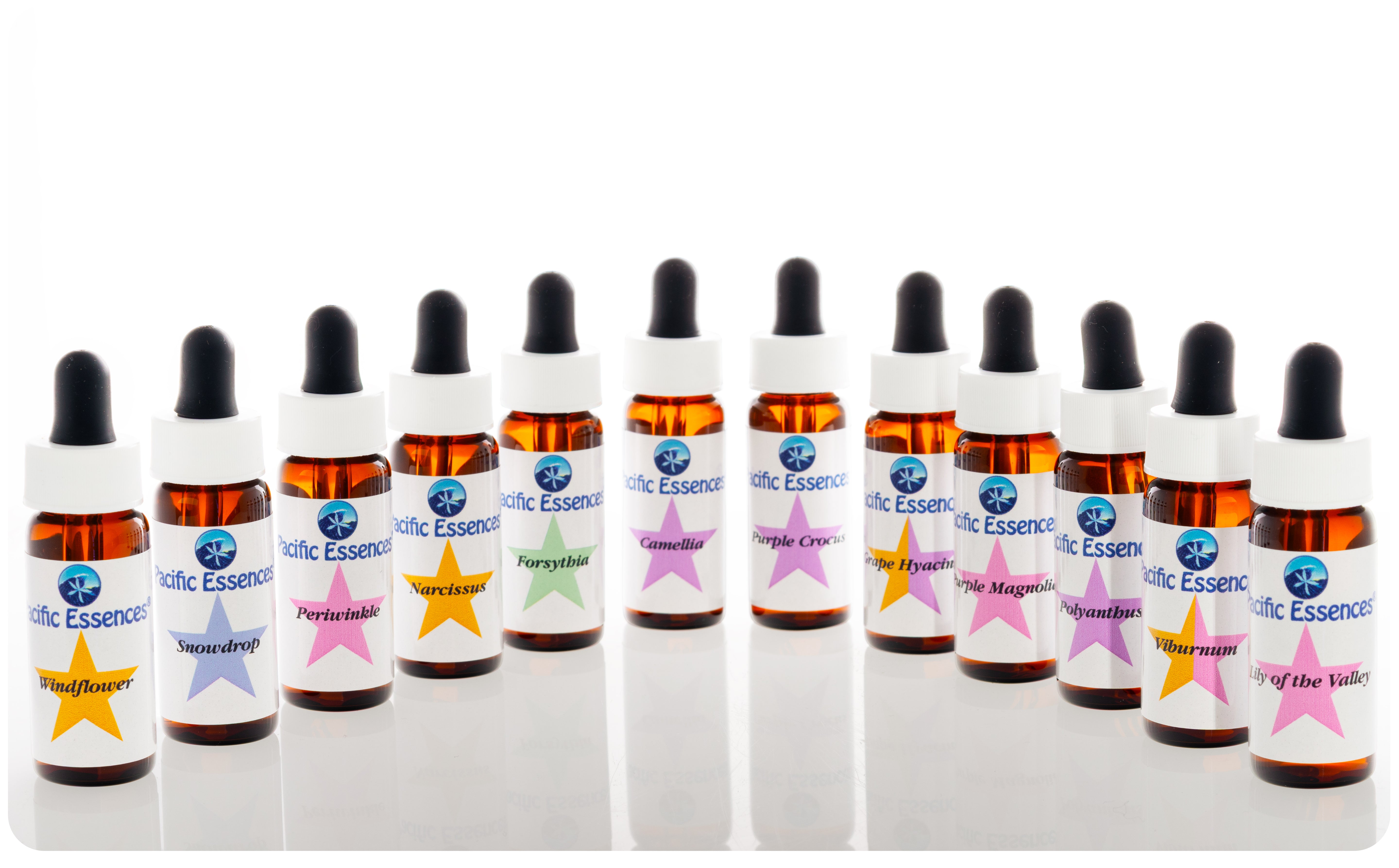 Kit 3 - Spring Flowers | Pacific Essences | Create your Own Essence Formula