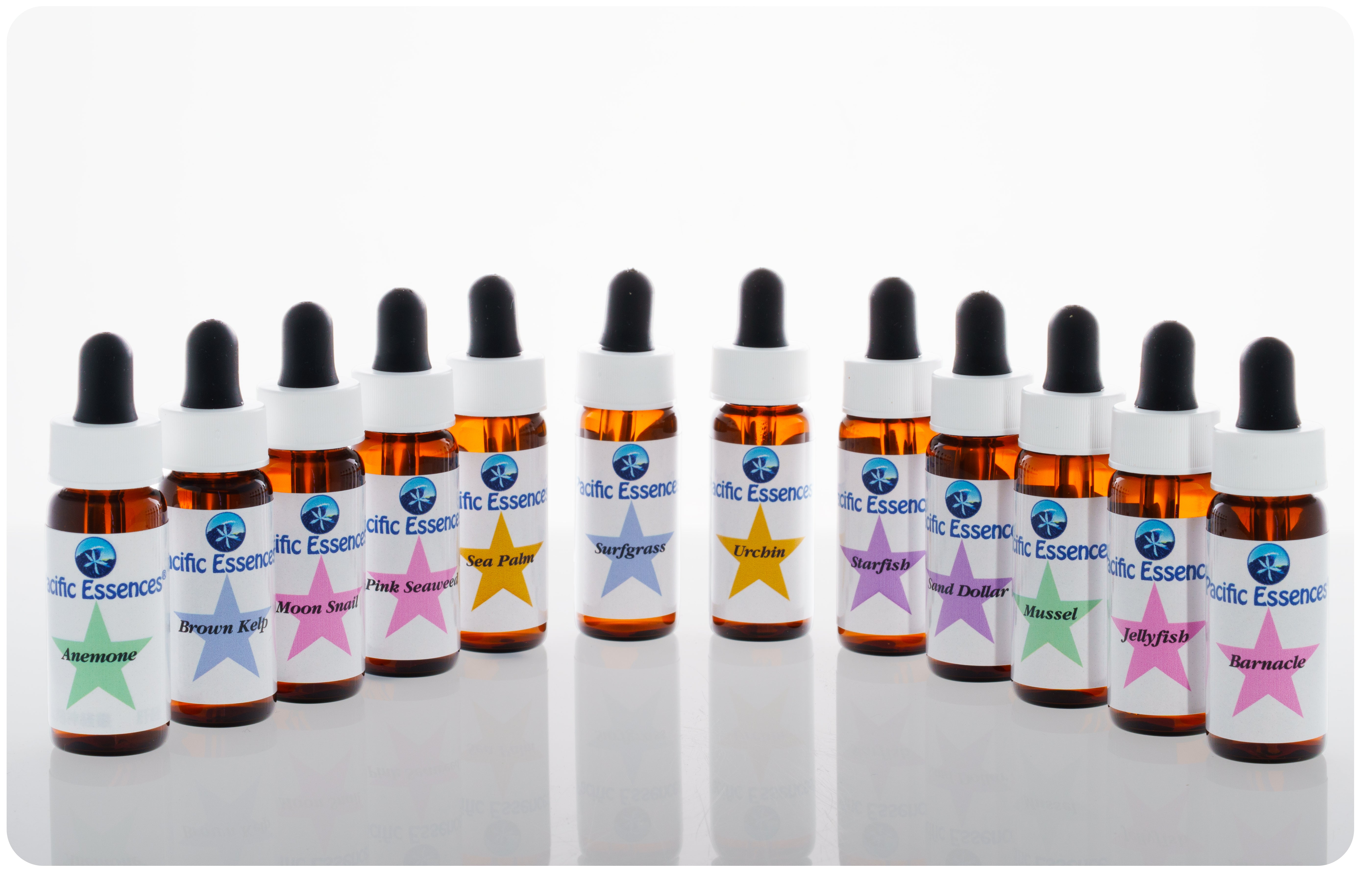 Kit 4 - Sea Essences | Pacific Essences | Create your Own Essence Formula