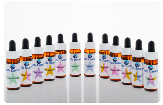 Kit 5 - Sea Essences | Pacific Essences | Create your Own Essence Formula