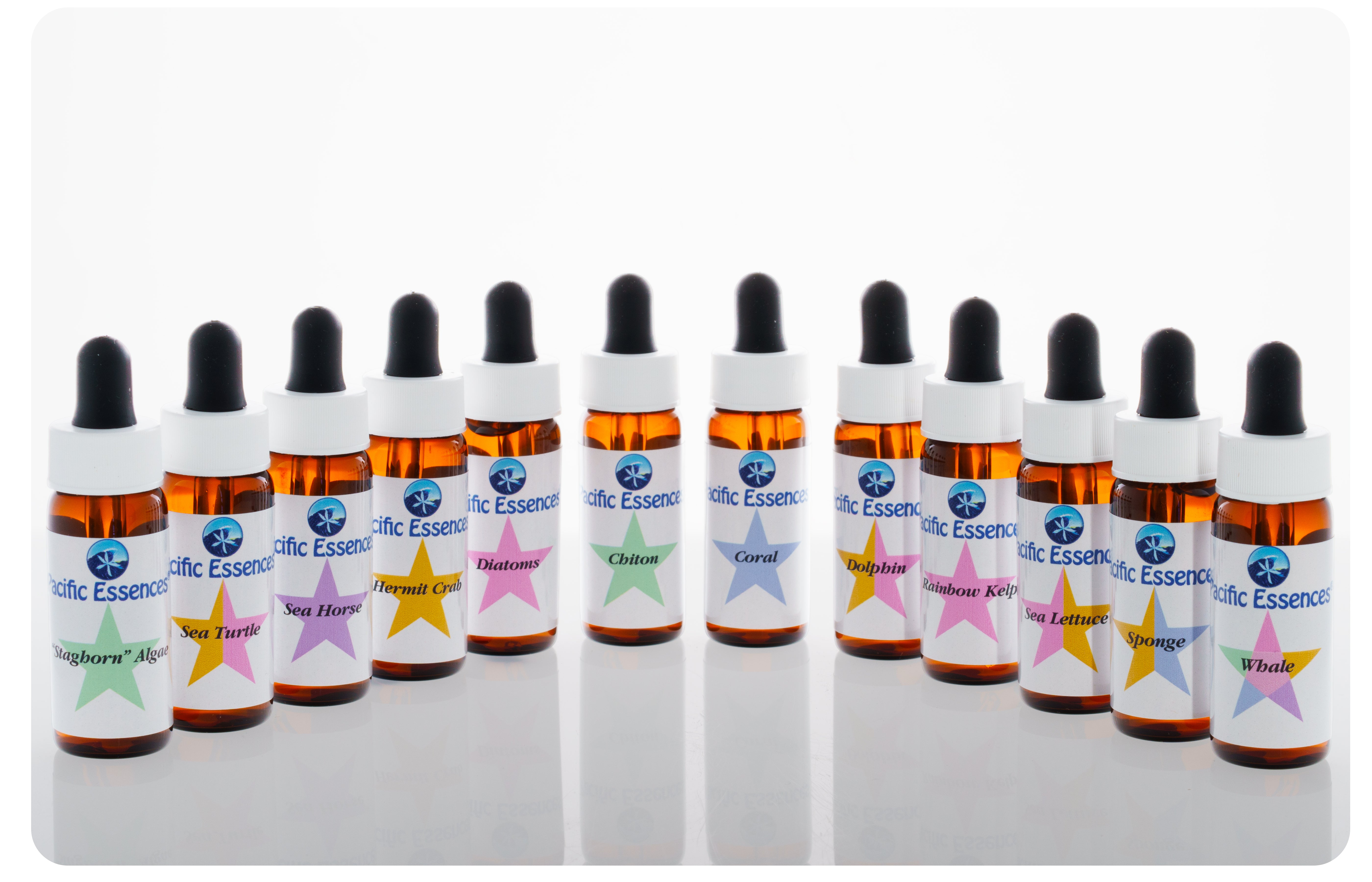 Kit 5 - Sea Essences | Pacific Essences | Create your Own Essence Formula