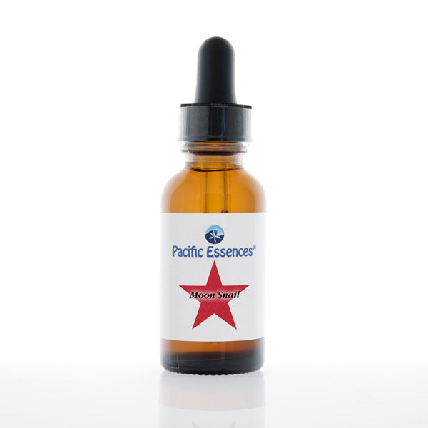 Moon Snail Sea Essence