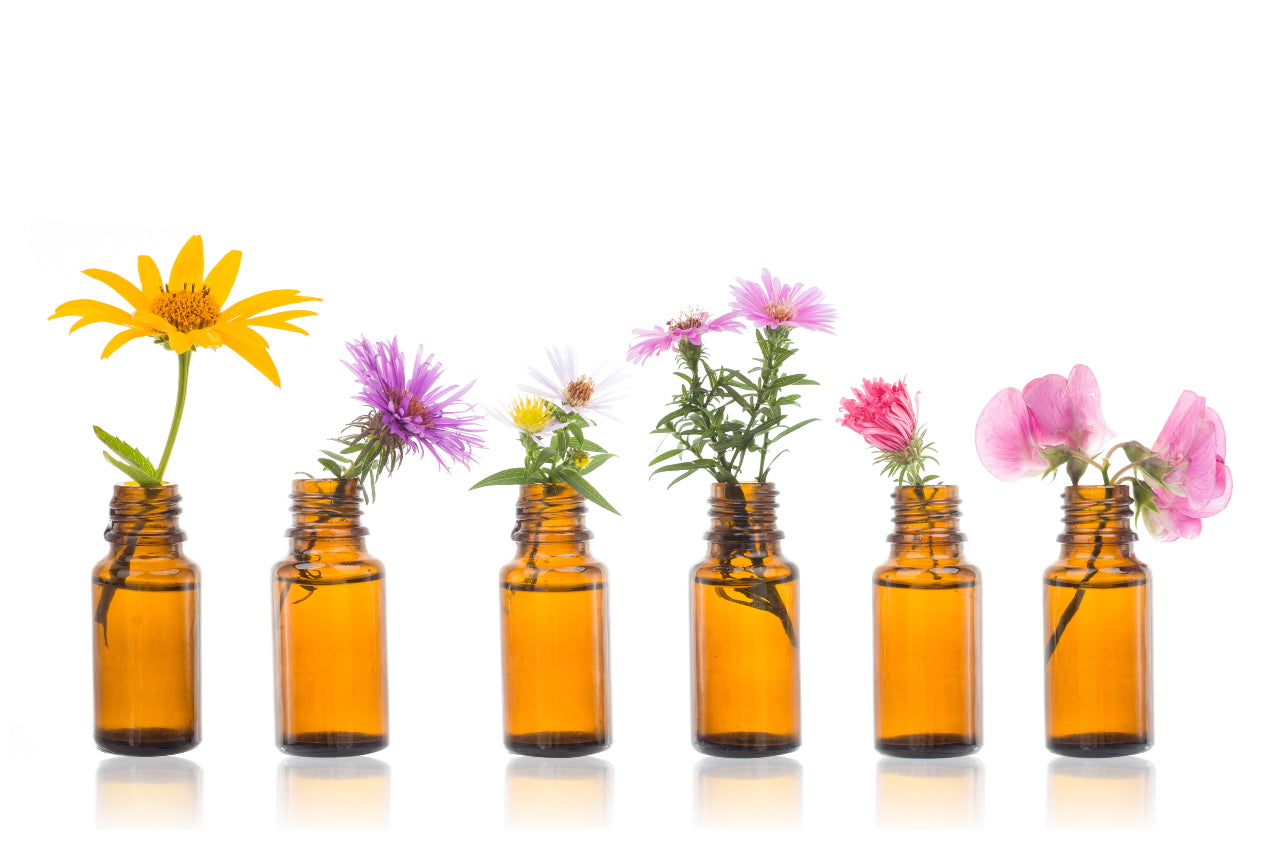 Natural Support for Emotional, Mental and Physical Healing