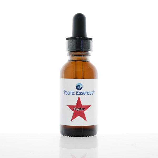 Poplar Flower Essence