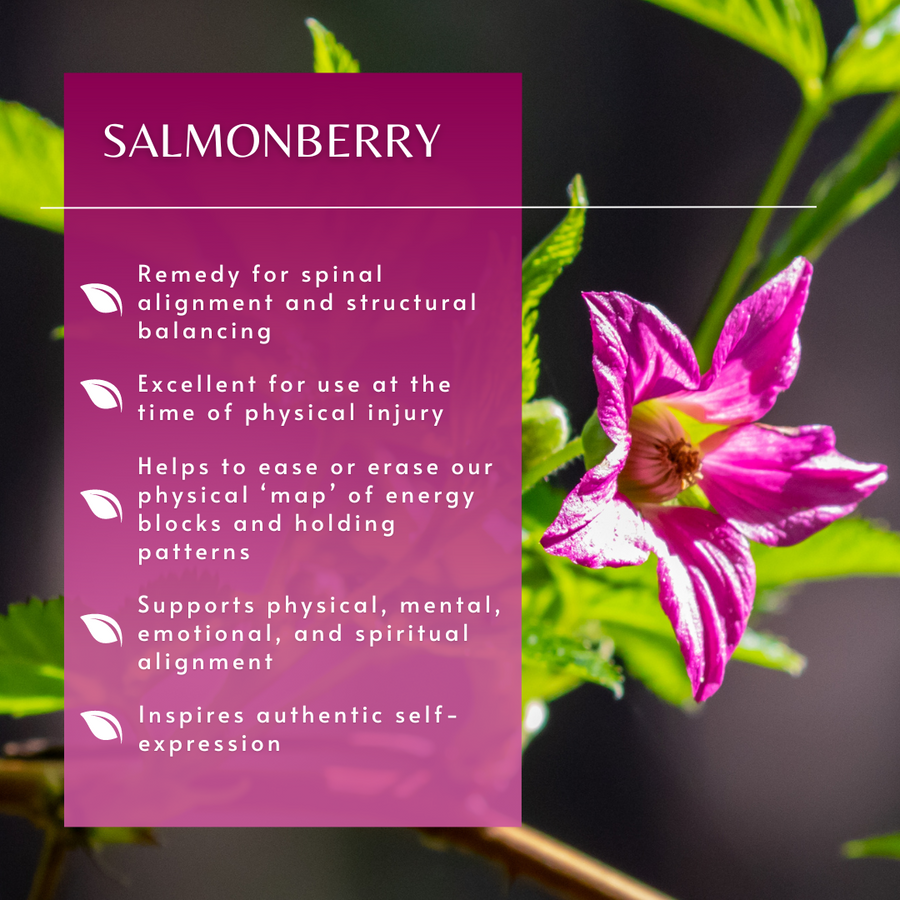 Salmonberry Flower Essence