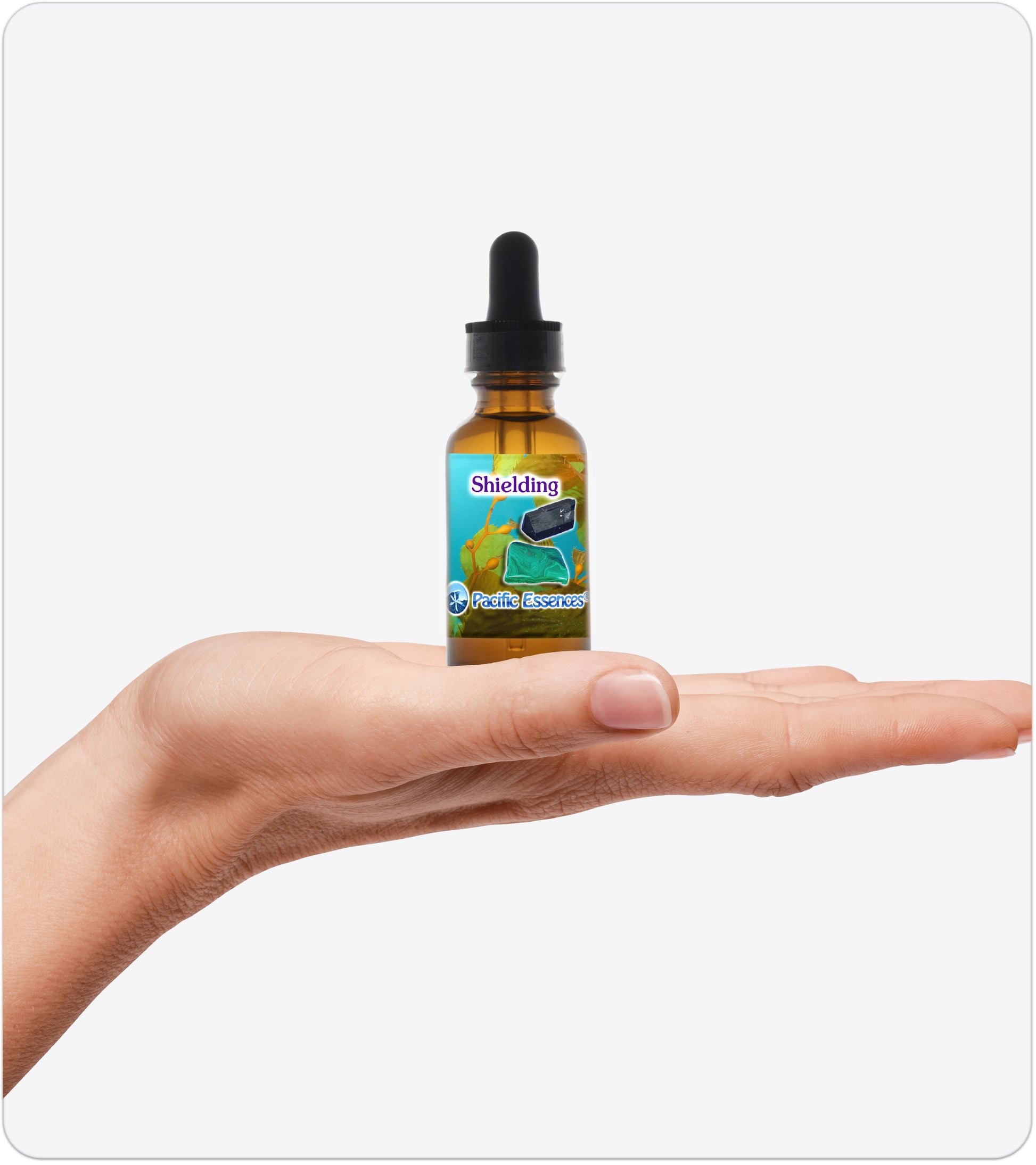 Shielding | Combination Essence | Pacific Essences | Adaptability