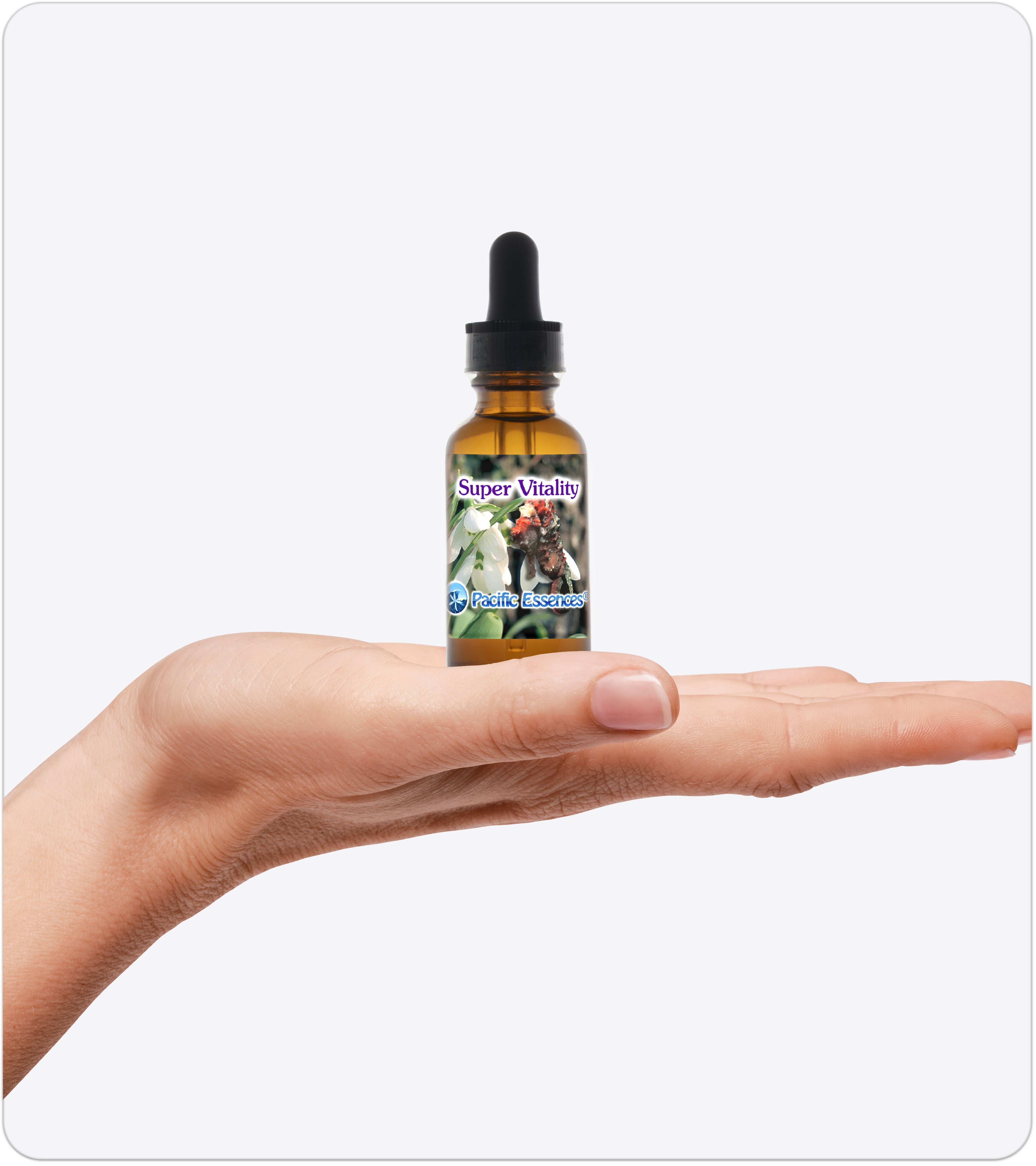 Super Vitality
