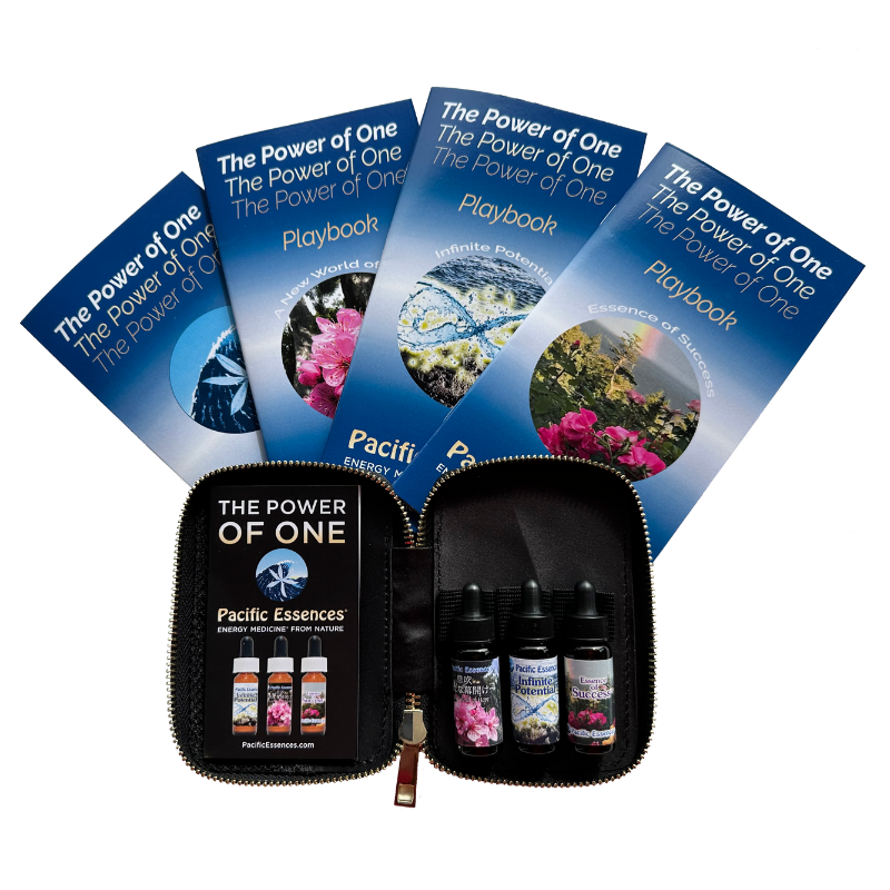 The Power of One Program Kit | Pacific Essences | 