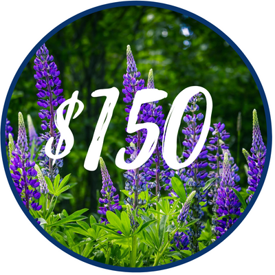 $150.00 Gift Card