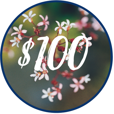 $100.00 Gift Card