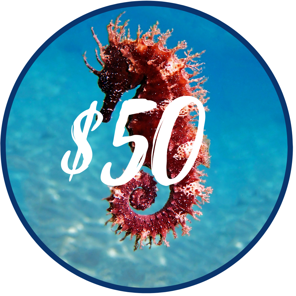 Pacific Essences Gift Card