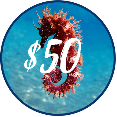 $50.00 Gift Card