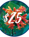 Pacific Essences Gift Card