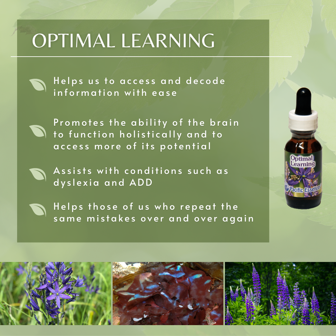 Optimal Learning | Combination Essence