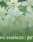 Pacific Essences Gift Card