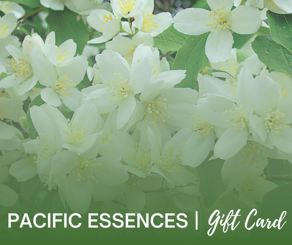Pacific Essences Gift Card | Pacific Essences | 