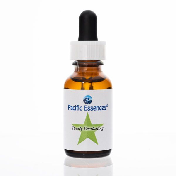 Pacific Essences -  Pearly Everlasting - Flower Essence