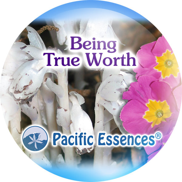 Pacific Essence - Being True Worth - Combination Essence Essential Oil Blend Flower, Sea & Gem Essences