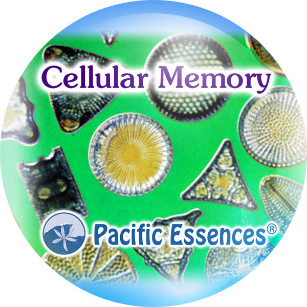 Pacific Essence - Cellular Memory - Combination Essence Essential Oil Blend Flower, Sea & Gem Essences
