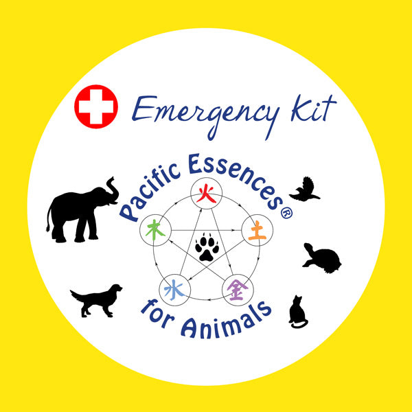 Pacific Essences - Emergency Kit for Animals - Essence Combination Flower, Sea & Gem Essences