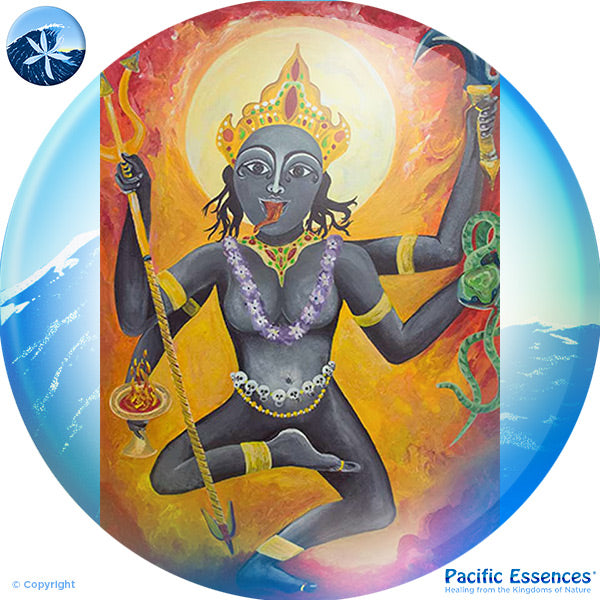 Pacific Essences - Kali