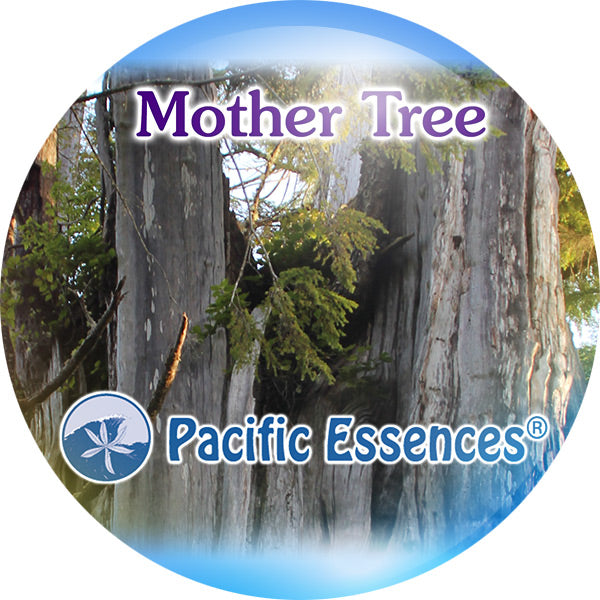 Pacific Essence - Mother Tree - Combination Essence Essential Oil Blend Flower, Sea & Gem Essences
