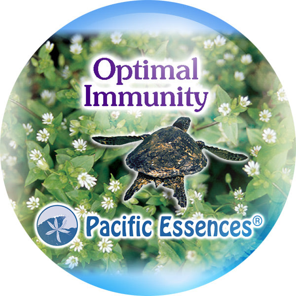 Pacific Essence - Optimal Immunity - Combination Essence Essential Oil Blend Flower, Sea & Gem Essences