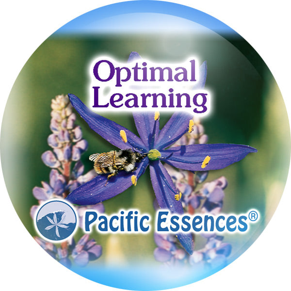Pacific Essence - Optimal Learning - Combination Essence Essential Oil Blend Flower, Sea & Gem Essences