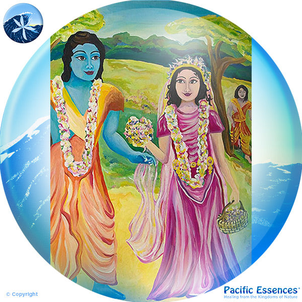 Pacific Essences - Sita